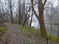 Wanderroute durch die Donauau entlang eines Donaualtarmes 