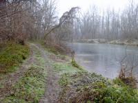 Wanderroute durch die Donauau entlang eines Donaualtarmes 