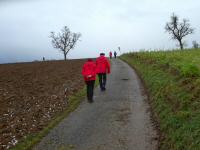 Blick auf die Wanderstrecke - bergan auf den Rabenberg 