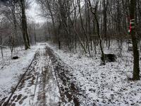  Blick auf die Wanderstrecke 