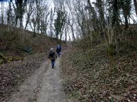  Wanderroute bergan "Am Pittnerberg" 