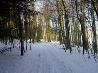  Blick auf die Wanderstrecke 