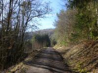  Blick auf die Wanderstrecke durch die Trkenleiten 