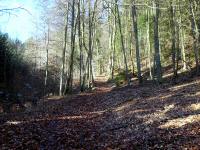  Blick auf die Wanderstrecke durch die Trkenleiten 