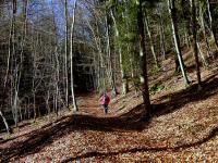  Blick auf die Wanderstrecke durch die Trkenleiten 