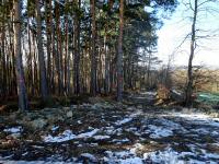  Blick auf die Wanderstrecke 