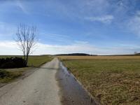 Blick auf die Wanderstrecke auf der Schleife bei Seiterndorf 