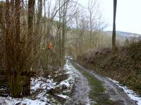  Wanderroute durch das Nastingbach Tal 
