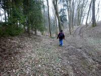  Blick auf die Wanderstrecke 