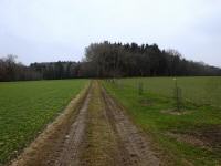  Blick auf die Wanderstrecke auf der Anhhe 