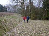 Blick auf die Wanderstrecke in der Nhe von Altenhof