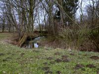  Blick auf den Ferschnitzbach 