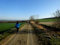  Wanderroute durch die Riede Runsen 