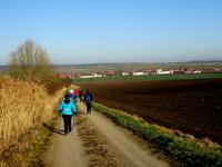 Wanderroute durch die Riede Runsen nach Nonndorf bei Gars 