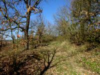  Blick auf die Wanderstrecke 