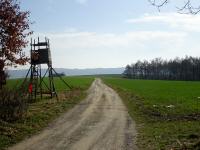 Wanderroute auf der Anhhe zum Rotem Kreuz (1.SK) 