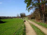  Wanderroute nach Etzmannsdorf am Kamp 