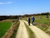  Wanderroute nach Etzmannsdorf am Kamp 