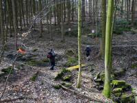 Blick auf die Wanderstrecke im Elendgraben bei der Streckenteilung  20/42 km  