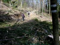 Wanderroute im Elendgraben Richtung "Hngender Stein"  