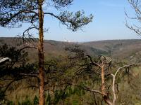  Fernblick nach Altenburg 