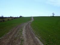  Wanderroute durch die Riede Kamplss 