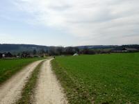  Wanderroute narch Wanzenau 