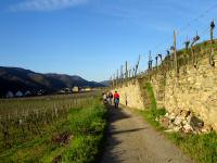  Wanderroute nach Wsendorf in der Wachau 