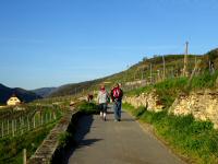  Wanderroute nach Wsendorf in der Wachau 