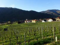  Fernblick nach Wsendorf in der Wachau 