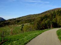  Blick auf die Wanderstrecke 