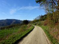  Wanderroute durch die Riede Hochrain 