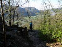 Blick auf die Wanderstrecke am Welterbesteig auf dem Michaelerberg 