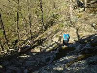 Blick auf die Wanderstrecke am Welterbesteig auf dem Michaelerberg 