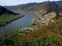  herrlicher Fernblick nach Spitz an der Donau 