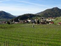  schner Fernblick nach Spitz an der Donau 