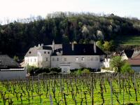 Blick zum Schloss Niederhaus/sog. Unteres Schloss in Spitz an der Donau 