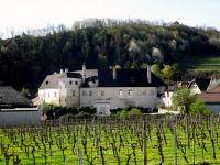 Blick zum Schloss Niederhaus/sog. Unteres Schloss in Spitz an der Donau 