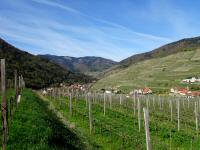  schner Fernblick in den Spitzergraben 