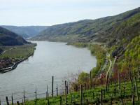 der herrliche Fernblick vom 1000.Eimerberg Richtung Melk 