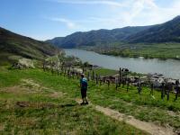 der herrliche Fernblick vom 1000.Eimerberg Richtung Weienkirchen in der Wachau