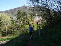 Blick auf die Wanderstrecke - Abstieg vom 1000-Eimerberg 
