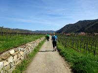  Wanderroute  nach Wsendorf in der Wachau 