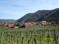  Fernblick nach Wsendorf in der Wachau 