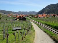 Wanderroute entlang der Wachaubahn nach Wsendorf in der Wachau 