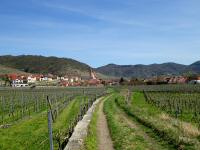  Wanderroute nach Weienkirchen in der Wachau 