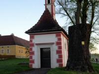  Blick zur Meierhofkapelle 