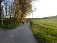  Blick auf die Wanderstrecke beim Brhlteich 