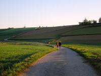   Wanderroute zur Riede Reutfeld 