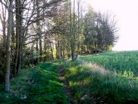 Wanderroute auf dem Kapuzinerkreuzweg nach Rafingsberg 